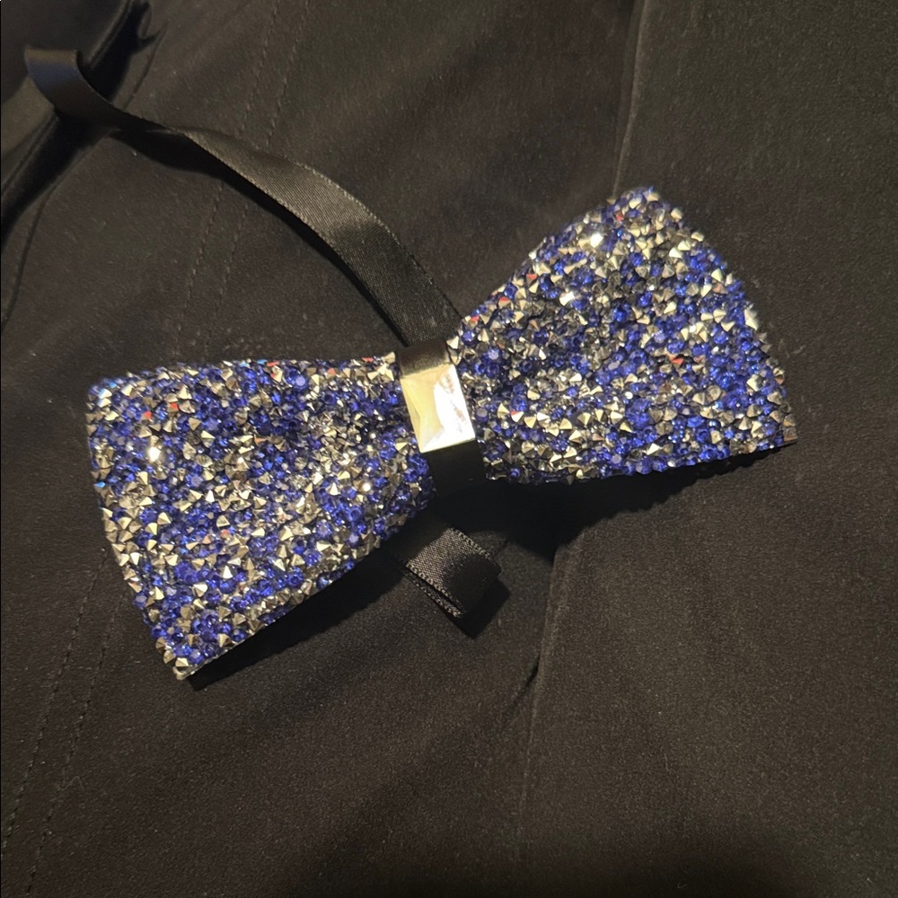 Sparkling Blue and Silver Bow Tie